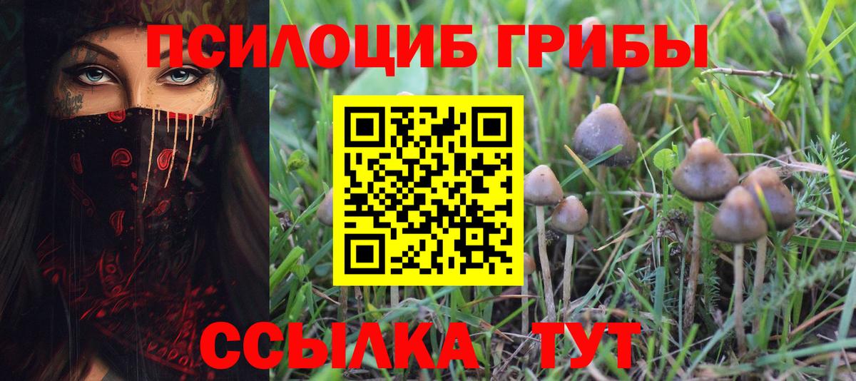 Псилоцибиновые грибы мухоморы  как найти наркотики  Татарск  Вход с VPN 