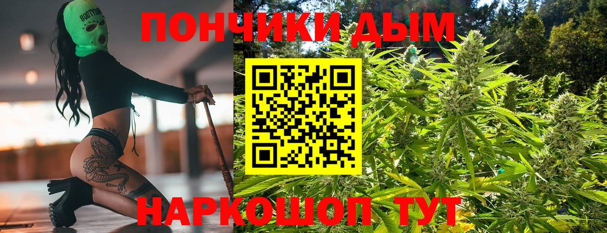 Бошки Шишки AK-47  Канабис семена  Каннабис семена  Татарск  Вход с VPN 
